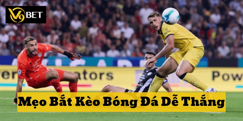 Mẹo Bắt Kèo Bóng Đá Dễ Thắng nhờ đọc biến động kèo